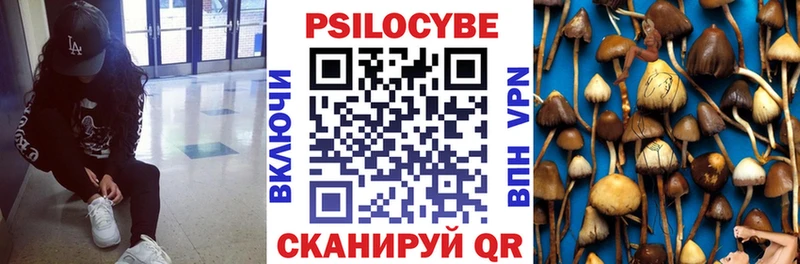 МЕГА зеркало  купить наркотик  Нарткала  Галлюциногенные грибы Cubensis 