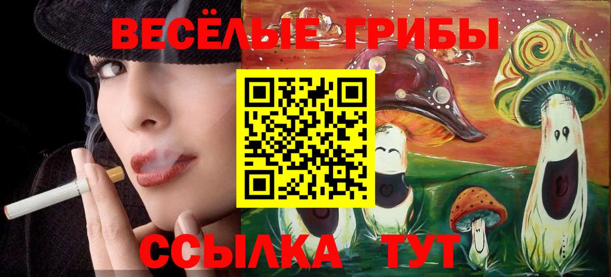 Нарткала  Галлюциногенные грибы мухоморы  Вход с VPN  Галлюциногенные грибы Psilocybe 